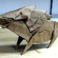 
<span>Wild Boar</span>
