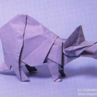 
<span>Triceratops</span>
