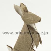 
<span>Rabbit</span>
