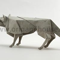 
<span>Wolf</span>
