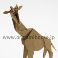 
<span>Giraffe</span>
