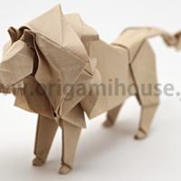 
<span>Lion</span>
