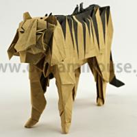 
<span>Tiger</span>
