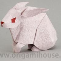 
<span>Rabbit</span>
