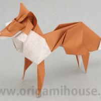
<span>Fox</span>
