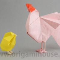 
<span>Rooster</span>
