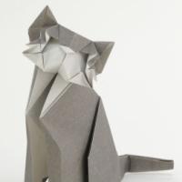 
<span>Cat</span>
