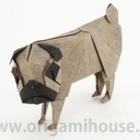 
<span>Pug</span>
