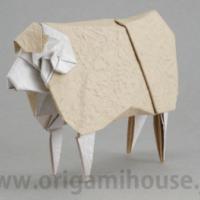 
<span>Sheep</span>
