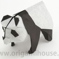 
<span>Panda</span>
