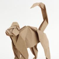 
<span>Monkey</span>

