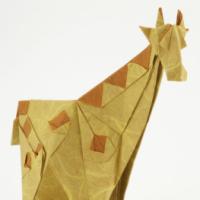 
<span>Giraffe</span>
