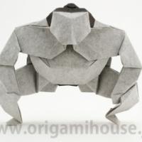 
<span>Sumo</span>
