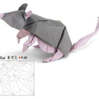 
<span>Rat</span>
