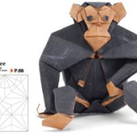 
<span>Chimpanzee</span>
