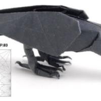 
<span>Raven</span>
