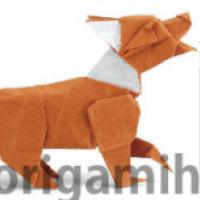 
<span>Red Fox</span>
