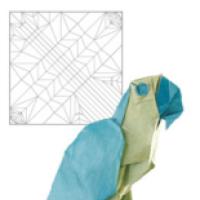 
<span>Blu and Yellow Macaw</span>
