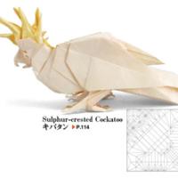 
<span>Sulpher Crested Cockatoo</span>
