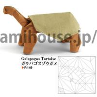 
<span>Galapagos Tortoise</span>
