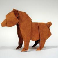 
<span>Bear Cub</span>
