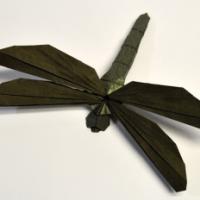 
<span>Simple Dragonfly</span>
