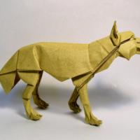 
<span>Gray Wolf</span>
