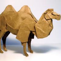 
<span>Bactrian Camel</span>
