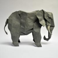 
<span>African Elephant</span>
