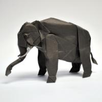 
<span>Asian Elephant</span>
