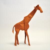 
<span>Giraffe</span>
