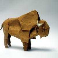 
<span>American Bison</span>
