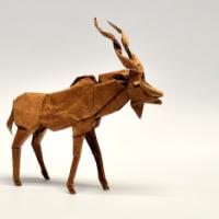 
<span>Greater Kudu</span>
