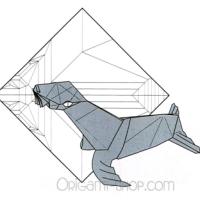 
<span>Fur Seal</span>
