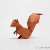 
<span>Squirrel</span>
