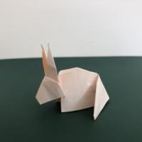
<span>Rabbit</span>
