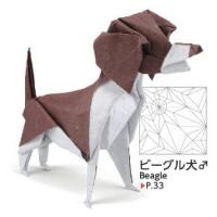 
<span>Beagle</span>
