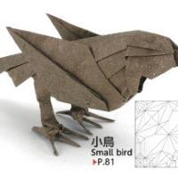 
<span>Small bird</span>
