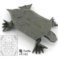 
<span>Turtle</span>
