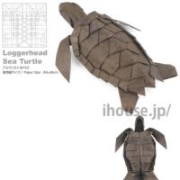 
<span>Loggerhead Sea Turtle</span>
