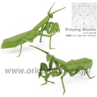
<span>Praying Mantis</span>
