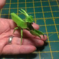 
<span>Praying Mantis</span>
