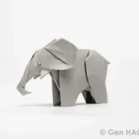 
<span>Elephant</span>
