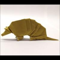 
<span>Armadillo</span>
