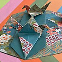 
<span>Crane Tato</span>

