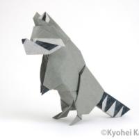
<span>Raccoon</span>

