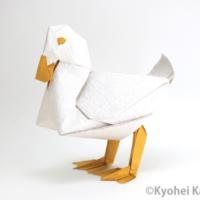 
<span>Duck 2017</span>
