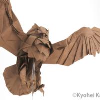 
<span>Blakiston's Fish Owl</span>
