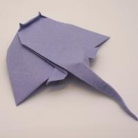 
<span>Eagle Ray</span>
