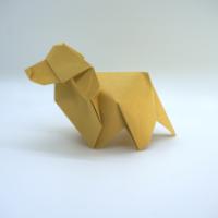 
<span>Golden Retriever</span>
